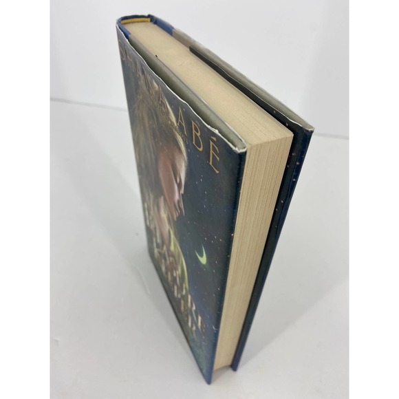 Treasure Keeper by Shana Abe 2009 First Edition Hard Cover Book w/Dust Jacket - Picture 2 of 4